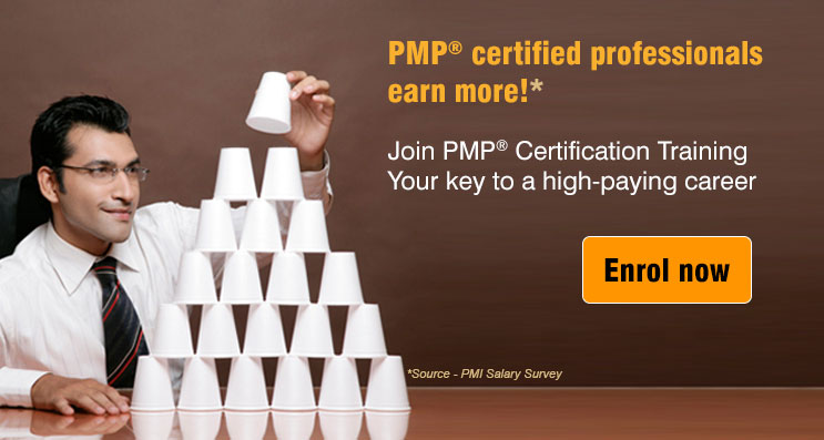 PMP certified professionals