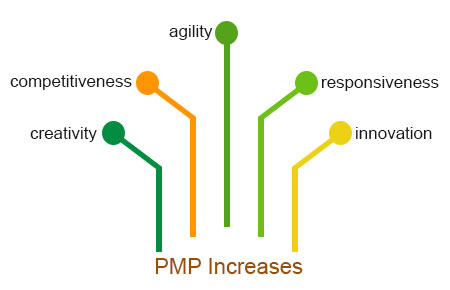 PMP increases